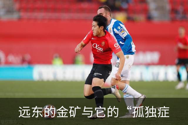 远东的金矿与它的“孤独症